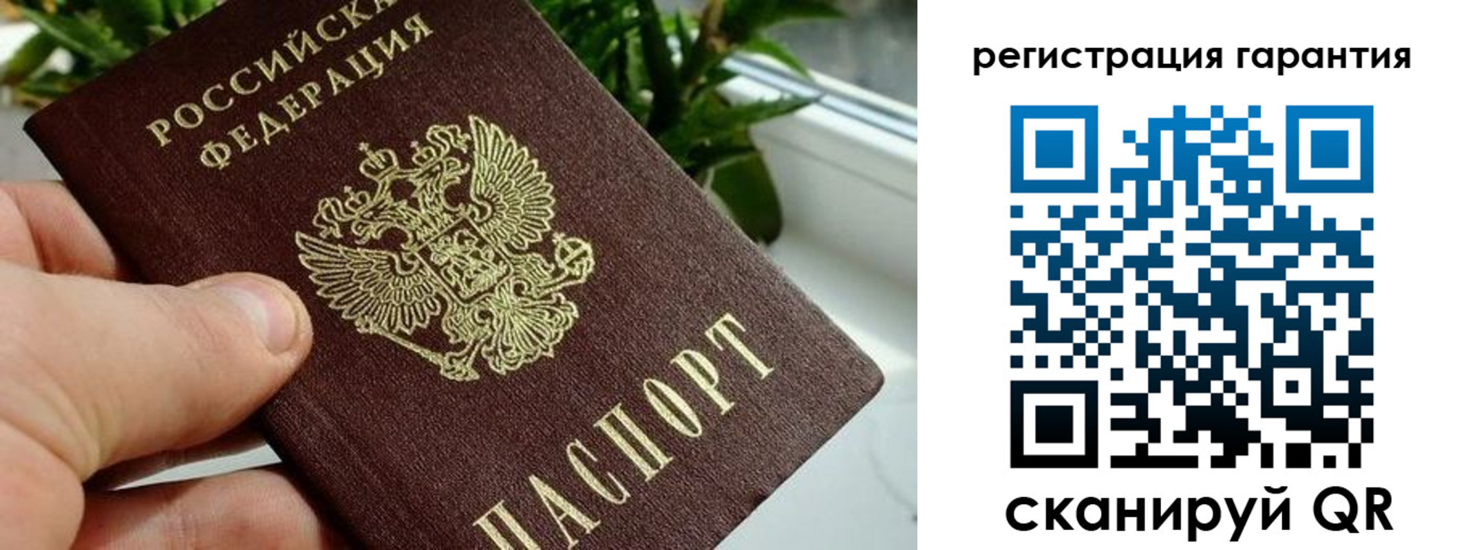 временная регистрация надежно в Выборге